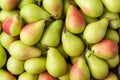 Pears, Large Group, Background Ã¢â¬â Italian Cultivar of Green Pear `Pera Coscia` Pyrus Communis